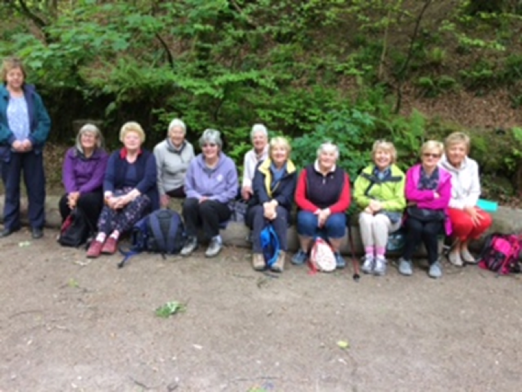 This is a picture of Elburton WI's walking group